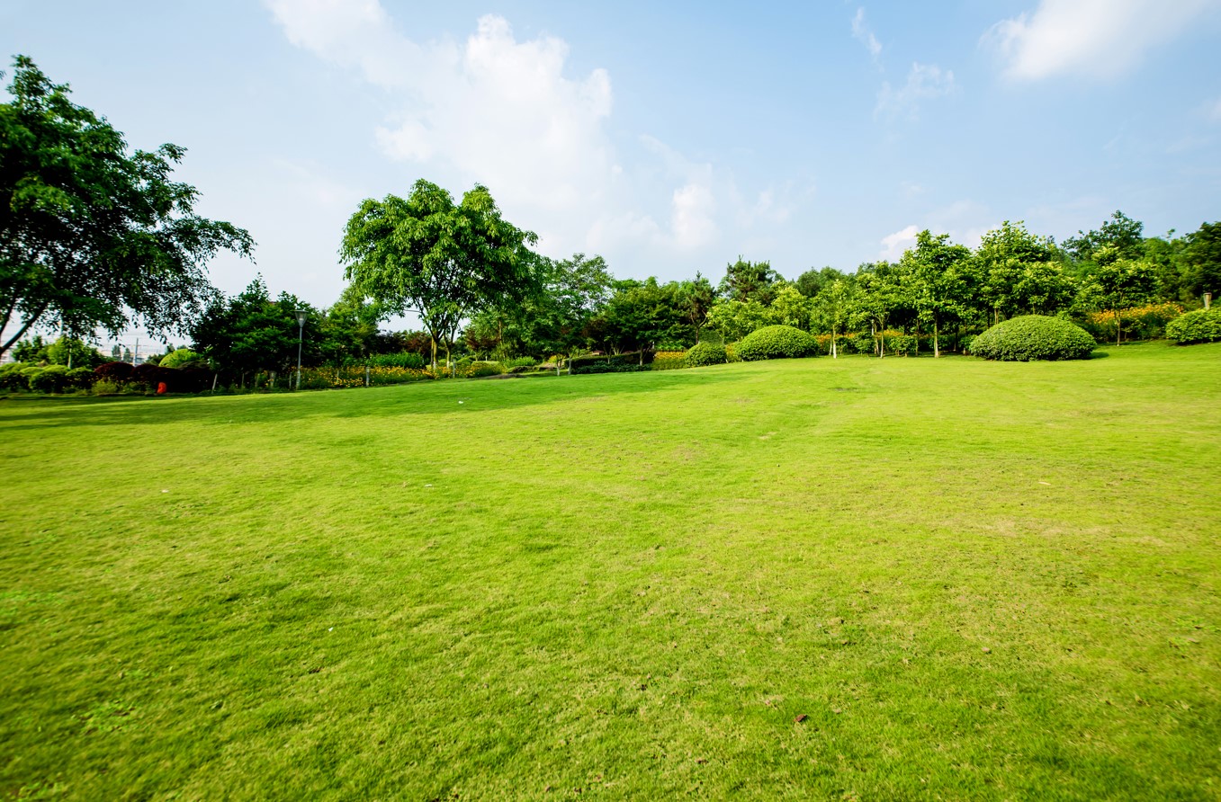 Mantenimiento de áreas verdes y jardines